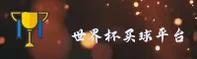 [最新]世界杯手机买球App(中文站)—官方开奖查询入口
